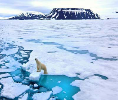 Explainer: IPCC report on 'Mitigation of Climate Change' Explainer: IPCC report on 'Mitigation of Climate Change'