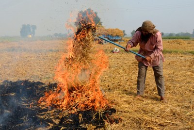Haryana's stubble burning efforts lauded Haryana's stubble burning efforts lauded