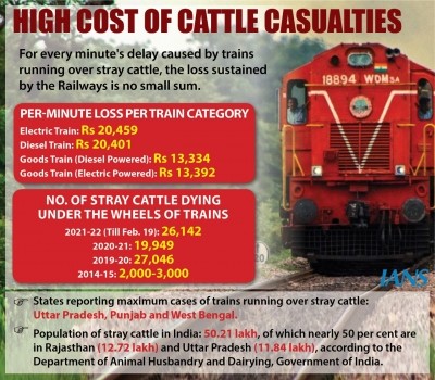 Railways incur loss worth crores due to cattle run over incidents