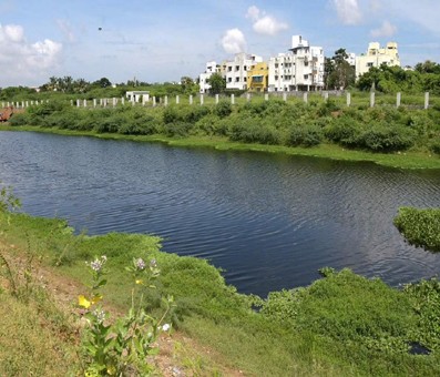 TN Water Resources Department to buy land for widening Adayar river