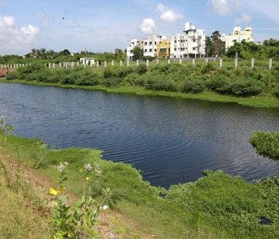 TN Water Resources Department to buy land for widening Adayar river TN Water Resources Department to buy land for widening Adayar river