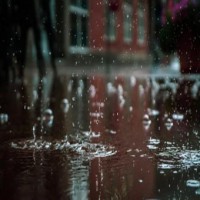 Normal to above normal rainfall for southwest monsoon: SASCOF forecast