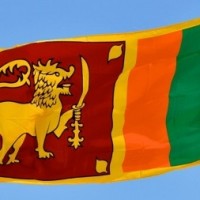 SL halts stock trading as share prices plummet