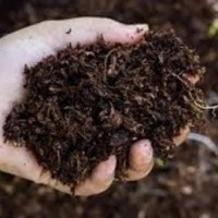 Former teacher inspires 100 Andhra tribal villages to give up chemical fertilisers