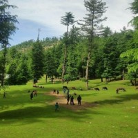 Hot, dry weather to continue in J&K during next 24 hrs