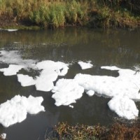 Coimbatore corporation draws flak over sewage discharge into Noyyal river