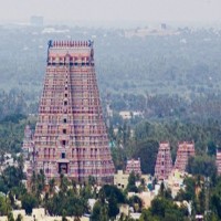Extra safety measures in place for Srirangam temple car festival in TN