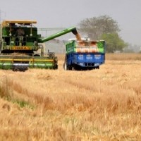 Not just crude, wheat prices too saw massive spike due to Russia-Ukraine war