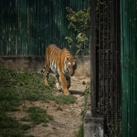 TN to provide housing sites to tribals in Anamalai Tiger Reserve