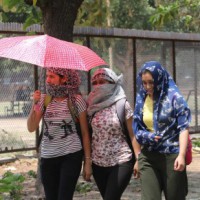 Heat wave conditions likely over NW India, MP till April 19: IMD