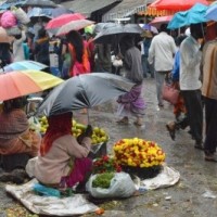 Rains likely to continue in northeast