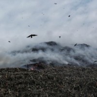 Over 42 hrs on, Delhi's 'Garbage mountain' still burning