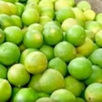 Special puja to bring down prices of lemon