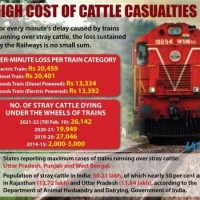 Railways incur loss worth crores due to cattle run over incidents