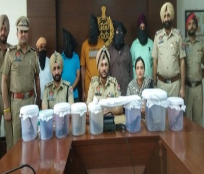 5 gangsters belonging to Bishnoi gang held in Punjab 5 gangsters belonging to Bishnoi gang held in Punjab