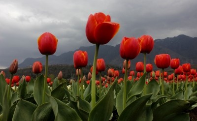 Partly cloudy weather, light rain likely in J&K: MeT deptt