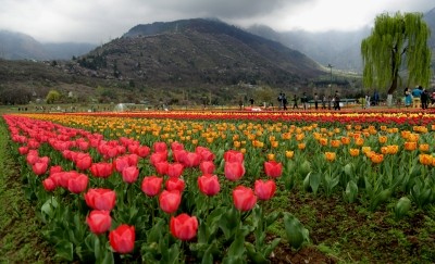 Dry weather with partly cloudy sky likely in J&K Dry weather with partly cloudy sky likely in J&K