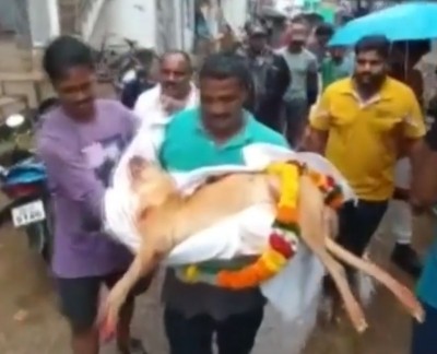 Odisha family performs last rites of pet dog as per Hindu customs Odisha family performs last rites of pet dog as per Hindu customs