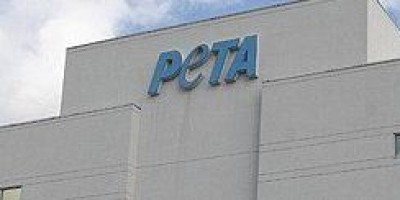 TN: After arrest of abuser, PETA India renews call for seizure of temple elephant TN: After arrest of abuser, PETA India renews call for seizure of temple elephant