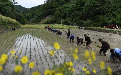 Drought in China threatening food production
