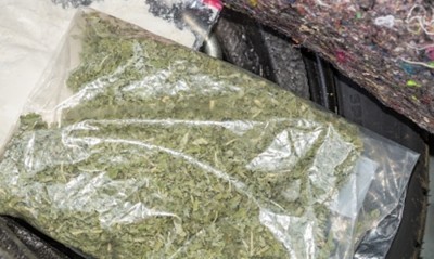 NCB team arrests 4 drug peddlers, recovers 206 kg cannabis