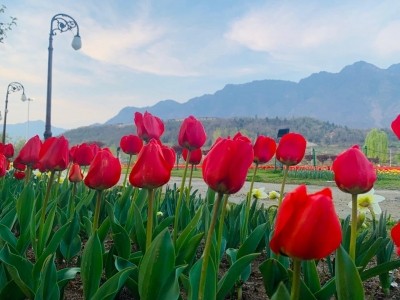 Dry, partly cloudy weather likely in J&K: MeT deptt Dry, partly cloudy weather likely in J&K: MeT deptt