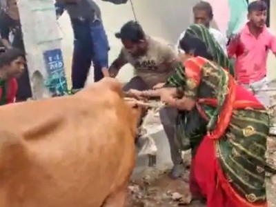 CNCD team members attacked by women members of pastoralists in Vadodara