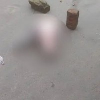 Tension in Ahmedabad's Isanpur after dead animal parts found near temple