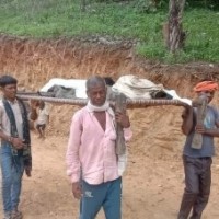 Tribal woman's body carried on cot for post-mortem in MP's Singrauli