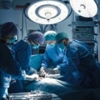 Brain-dead Gurugram woman's organs save four lives