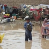 Balochistan government launches inquiry into breach of 12 dams as floods ravage district