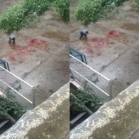 B'luru woman arrested for throwing mentally challenged daughter from 4th floor