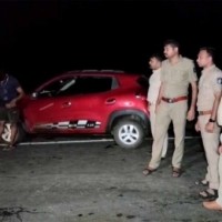 Gujarat: Bootlegger mows down five cows, six calves while escaping from police