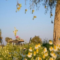 An Abode of Natural Farming and Mindful Living