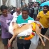 Odisha family performs last rites of pet dog as per Hindu customs
