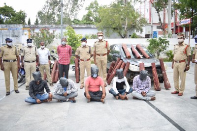 Andhra police arrest 5 people, seize 20 red sanders logs Andhra police arrest 5 people, seize 20 red sanders logs
