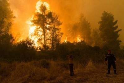 25 soldiers, 7 residents killed in Algeria's wildfires 25 soldiers, 7 residents killed in Algeria's wildfires