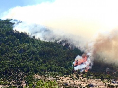 Wildfire engulfs power plant in Turkey, prompts evacuation Wildfire engulfs power plant in Turkey, prompts evacuation