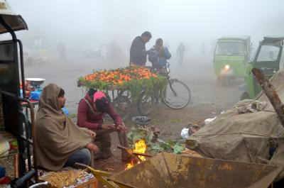Cold wave grips Raj, Fatehpur shivers at -1.6 degrees Cold wave grips Raj, Fatehpur shivers at -1.6 degrees