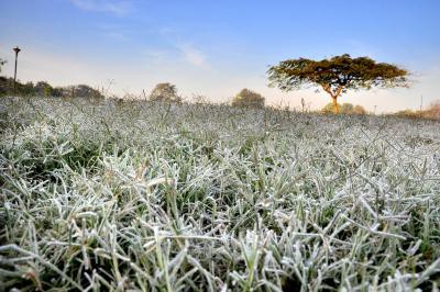 Rajasthan braces for cold wave conditions on Tuesday too Rajasthan braces for cold wave conditions on Tuesday too