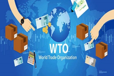 India rejects WTO Panel's findings on its sugar policies India rejects WTO Panel's findings on its sugar policies