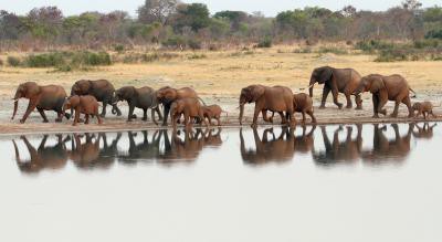 Domestic tourism booms in Zimbabwe despite curbs Domestic tourism booms in Zimbabwe despite curbs