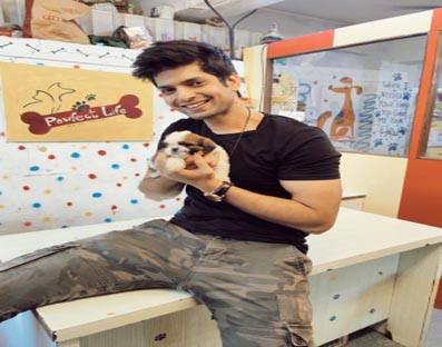 My dog has brought positivity in my life: Hitesh Bharadwaj My dog has brought positivity in my life: Hitesh Bharadwaj