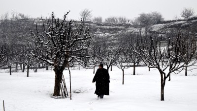 Cold wave intensifies in Kashmir, Ladakh Cold wave intensifies in Kashmir, Ladakh
