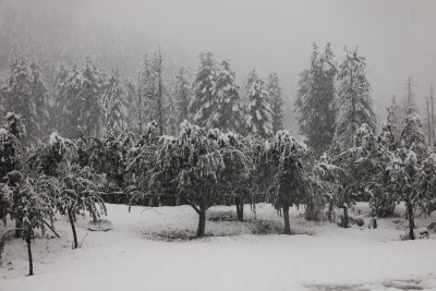 White Christmas likely in Kashmir, Ladakh this year