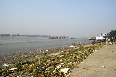 Documentary by youth highlights Ganga pollution, endangered dolphins