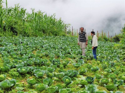 Managing livestock waste in Himachal reduces expensive farm inputs Managing livestock waste in Himachal reduces expensive farm inputs