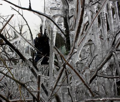 Night temperatures rise as 'Chillai Kalan' starts in Kashmir