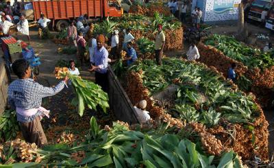 Vegetable prices in TN unlikely to fall till Pongal: Traders Vegetable prices in TN unlikely to fall till Pongal: Traders