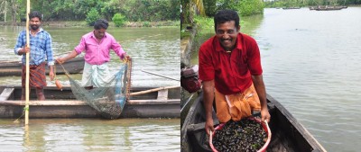 CMFRI's effort helps boost clam production in Vembanad Lake CMFRI's effort helps boost clam production in Vembanad Lake